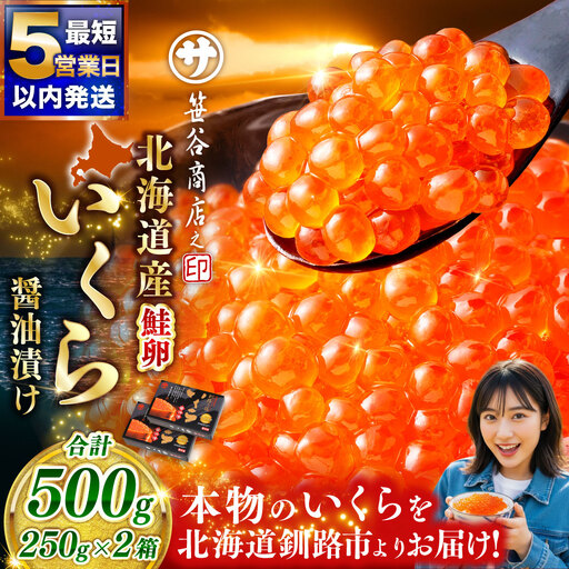 [5営業日以内発送]北海道産いくらしょう油漬250g×2箱 ふるさと納税 いくら