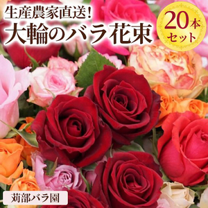 生産農家直送!大輪のバラ花束 20本セット ※沖縄・離島への配送不可 _AL01