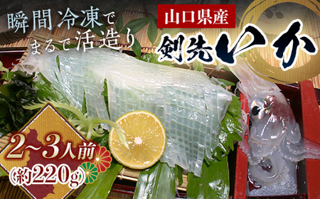 瞬冷まるで活造り!天然 剣先イカ 2〜3人前程度 いか イカ 烏賊 活造り 刺身 おつまみ おかず 肴 魚介類 魚介 海鮮 海の幸 海産物 食品 F6L-043