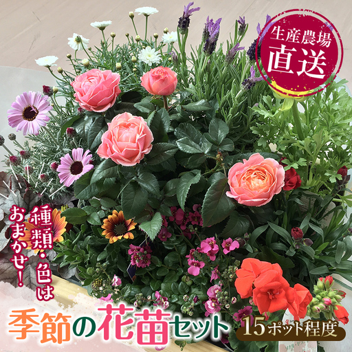 生産農場直送！季節の花苗セット 10～15ポット F6L-415