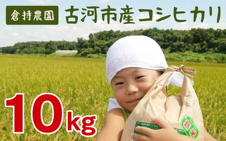 [令和7年産]古河市産 コシヒカリ10kg[倉持農園]| 米 _AN01 ※2025年11月上旬頃より順次発送予定