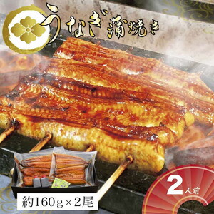 うなぎ蒲焼2人前（1人前約160g×2）贈答用パッケージ _AT02