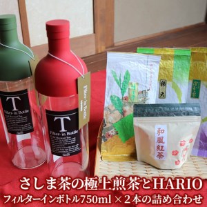 水出しでおもてなし!さしま茶の極上煎茶とHARIOフィルターインボトル750ml×2本の詰め合わせ _BA04
