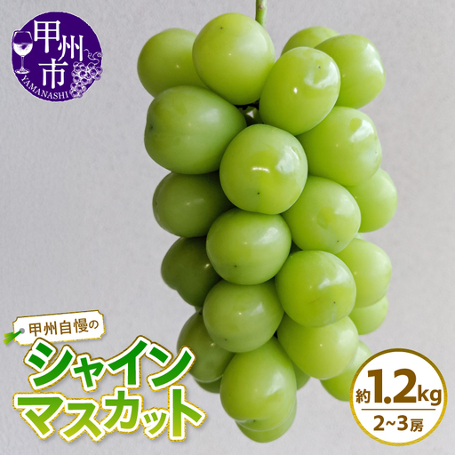 甲州自慢のシャインマスカット 約1.2kg (2～3房入り)【2026年発送】（NK）B12-420 シャインマスカット フルーツ