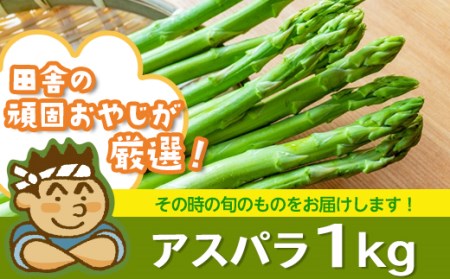 アスパラ1㎏【令和3年4月から順次お届け】