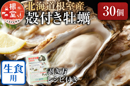【北海道根室産】貝付き牡蠣30個[5月下旬以降発送] B-54006
