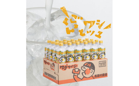 [炭酸飲料]ゆずサイダー280ml×24本×2箱 ゆずの炭酸飲料