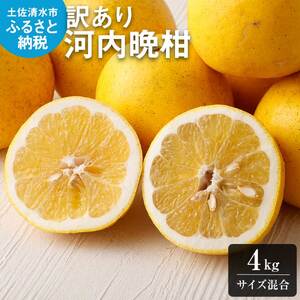 減農薬 訳あり 谷川果樹園の河内晩柑4キロ（サイズ混合） 【R00144】