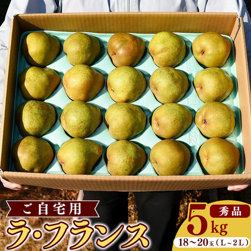 [先行予約]令和8年産 洋梨 ラ・フランス 5kg(18玉 - 20玉)[ご自宅用] L - 2L 山形県産 [2026年11月頃から12月上旬頃発送予定]
