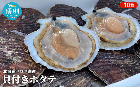 [国内消費拡大求む]先行予約 北海道 サロマ湖産 貝付き ホタテ 10枚 帆立 ほたて 刺身 海鮮 魚介 国産 殻付き 冷蔵 オホーツク 魚貝類 貝付きホタテ 魚介類