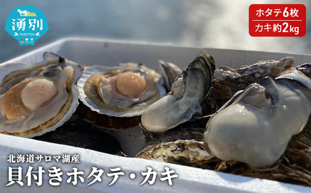先行予約 北海道サロマ湖産 貝付きホタテ6枚・カキ約2kg 魚貝類 帆立 ほたて 魚介類