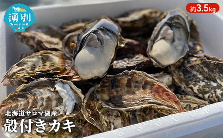 [国内消費拡大求む]先行予約 北海道 サロマ湖産 カキ 約3.5kg 牡蠣 かき 海鮮 魚介 国産 殻付き 貝付き 生牡蠣 生食 焼き牡蠣 蒸し牡蠣 冷蔵 産地直送 オホーツク 魚貝類