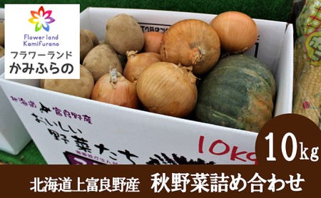 [令和8年産]北海道 上富良野 町産 秋野菜 詰め合わせ セット 約 10kg じゃがいも 玉ねぎ かぼちゃ 産地直送 野菜 詰合せ