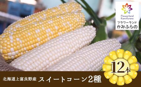 [令和8年産]北海道 上富良野 町産 スイートコーン 2種 セット 食べ比べ バイカラー 6本 白色 6本 計12本 野菜 とうもろこし トウモロコシ コーン 産地直送 野菜
