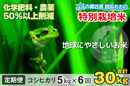 【令和7年産】【6ヶ月定期便】こしひかり 5kg × 6回 計30kg【白米】減農薬・減化学肥料 「特別栽培米」地球にやさしいお米 [D-003003]