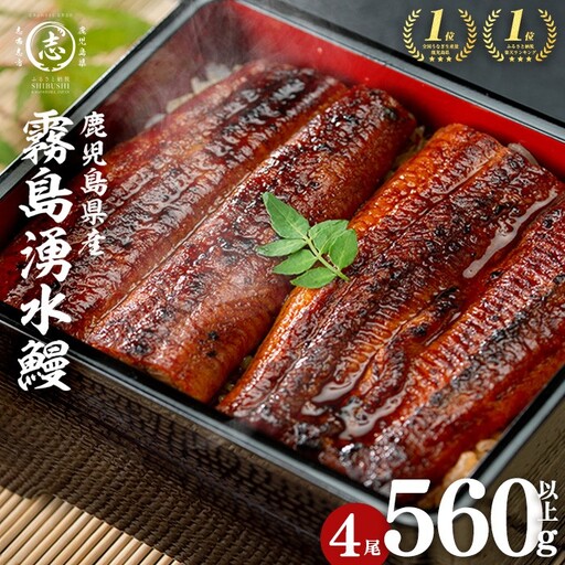 国産 うなぎ 蒲焼 4尾 霧島湧水鰻の蒲焼き 140g以上×4尾＜計560g以上＞ うなぎ 鰻 ウナギ 国産 九州産 蒲焼き 【志布志市人気No.1お礼の品】 a6-078