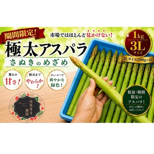 期間限定!極太アスパラ [さぬきのめざめ1kg] 3Lサイズ 野菜セット 野菜 アスパラガス
