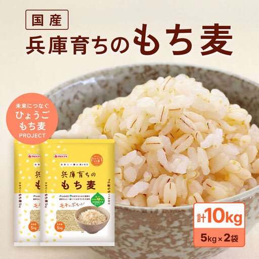 兵庫育ちの もち麦 10kg [国産 キラリモチ 食物繊維 ] 雑穀 モチ麦 