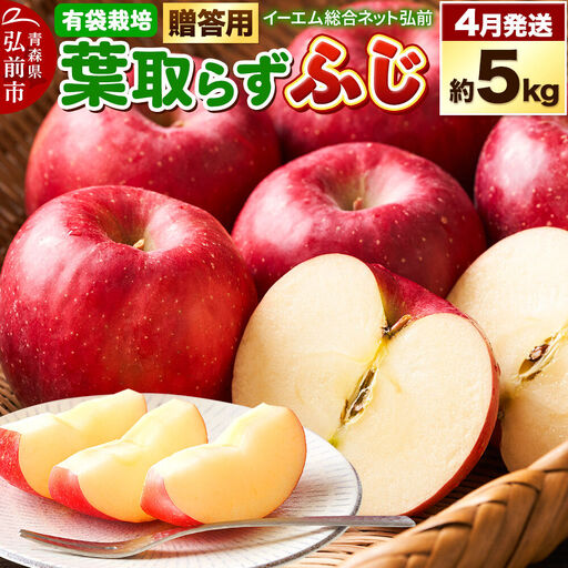 りんご 葉取らず ふじ 贈答用 約5kg[4月クール便発送]りんご