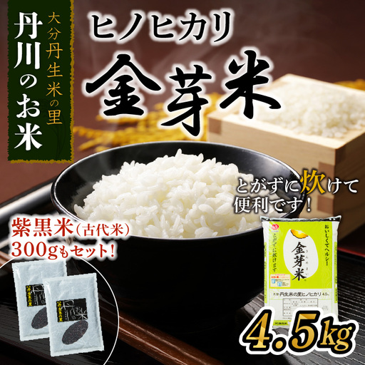ヒノヒカリ金芽米4.5kgと紫黒米（古代米）300g B01013
