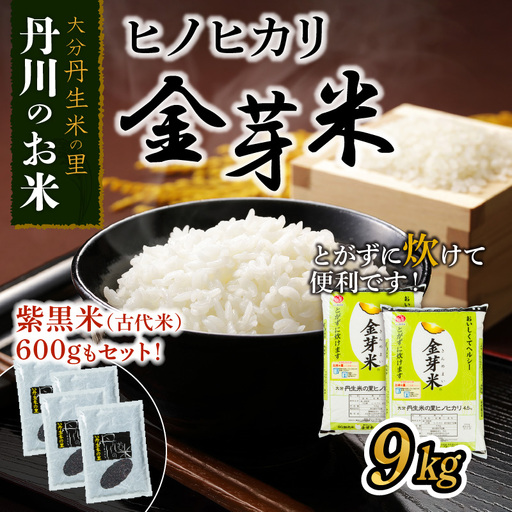 ヒノヒカリ金芽米9kgと紫黒米（古代米）600g B01014