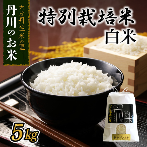 特別栽培米ぴかまる白米 5kg B01019