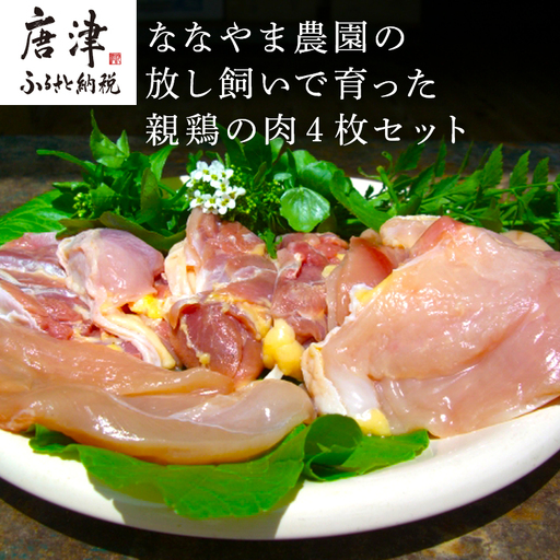 佐賀県産 放し飼いで育った親鶏の肉 (もも むね ささみ各2枚×4) 煮込み料理 たたき