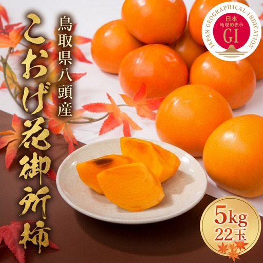 Y089 こおげ花御所柿 5kg