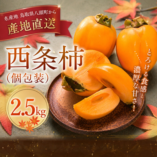 西条柿(個包装)