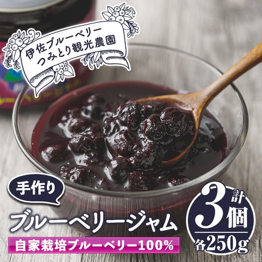 isa223 手作りブルーベリージャム(計3個・各250g) 詰合せ ギフト ジャム 手づくり 自家栽培 ブルーベリー 甘さ控えめ【伊佐ブルーベリーつみとり観光農園】