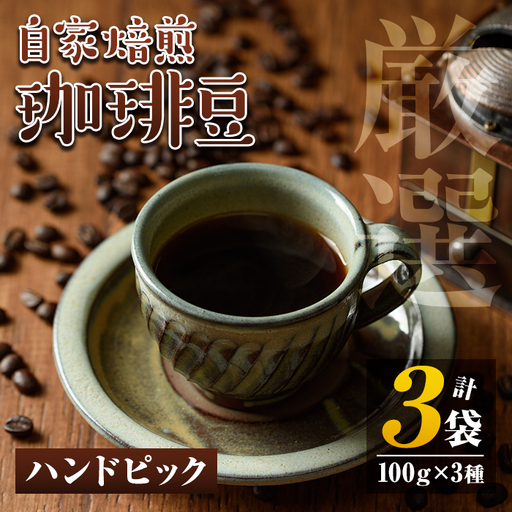 isa198 自家焙煎珈琲豆3袋(計300g・100g×3種) コーヒー coffee コーヒー豆 自家焙煎 ハンドピック 飲み比べ 飲料[工房ゆう]