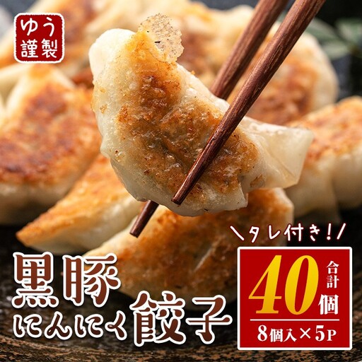 黒豚にんにく餃子 40個 餃子 Z6-01