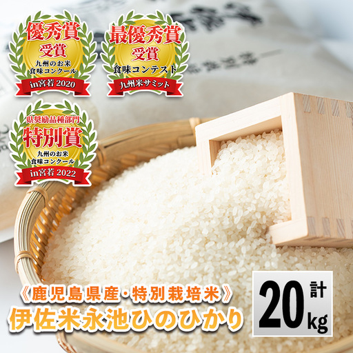 B8-05 令和6年産 特別栽培米 永池ひのひかり(計20kg・5kg×4袋)伊佐市 特産品 鹿児島 永池 お米 米 白米 精米 伊佐米 九州米サミット 食味コンテスト 最優秀賞受賞 ヒノヒカリ【エコファーム永池】