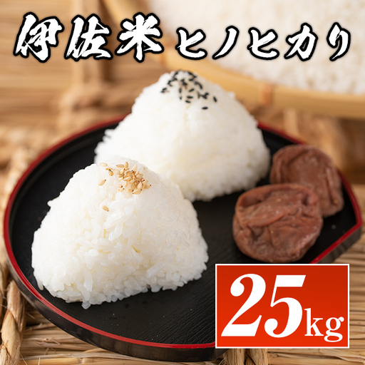 isa138  鹿児島県産！伊佐米ヒノヒカリ(25kg) 伊佐市 特産品 国産 白米 精米 伊佐米 お米 米 ひのひかり【神薗商店】