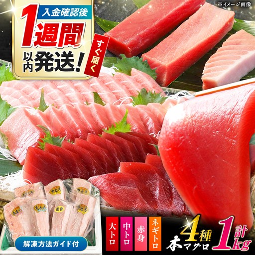 【1週間以内発送】対馬産 本マグロ 計1kg（赤身 中トロ 大トロ ネギトロ）まぐろ 国産 [WAH004]