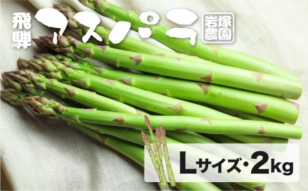《先行予約》【2026年5月上旬～8月末発送】飛騨産アスパラガス L～2Lサイズ 2kg 岩塚農園 春 夏 野菜 BBQ[EX006-26] syun70