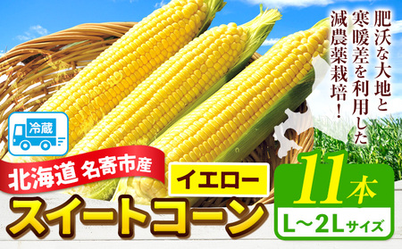 [2026年出荷] 北海道名寄産スイートコーンイエロー L〜2Lサイズ11本 [2026年8月中旬-9月中旬頃出荷予定] NPO法人なよろ観光まちづくり協会 北海道 とうもろこし トウモロコシ サイズ 2 取り寄せ 新鮮 産地直送 甘い 糖度 冷蔵 レビュー高評価