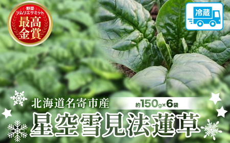 北海道名寄産 星空雪見法蓮草[2027年1月中旬-2月上旬頃出荷]名寄産 星空雪見 法蓮草 星空 雪見 法蓮草 ほうれん草 北海道 名寄市 野菜 ホウレンソウ 野菜ソムリエ やさい