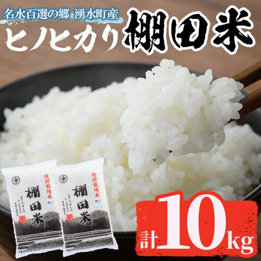 米 令和7年産 鹿児島県産 ひのひかり 10kg 白米 [くりの物産館]_C09