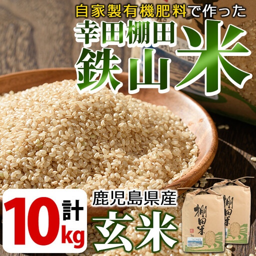 [玄米]鹿児島県産 10kg 玄米[福永商店]_y056-R7A