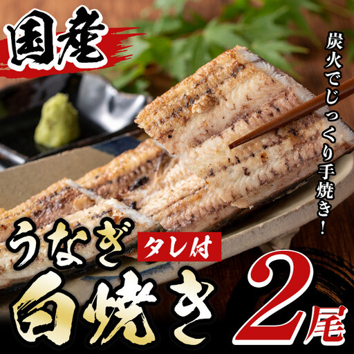 国産！うなぎ白焼き(2尾・タレ付き) 国産 九州産 鰻 ウナギ うな重 うなじゅう 蒲焼 かばやき 白焼 しろやき 土用 丑の日 うな丼 タレ タレ付 おかず 冷蔵 特産品 お土産 ギフト プレゼント【尾方屋】_y134