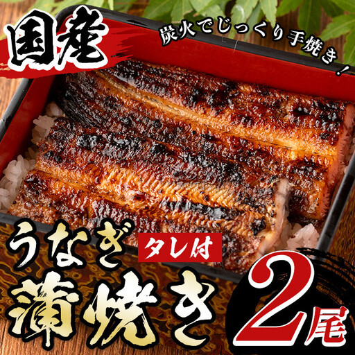 うなぎ 蒲焼き 2尾 タレ付き 無頭[尾方屋]_y135