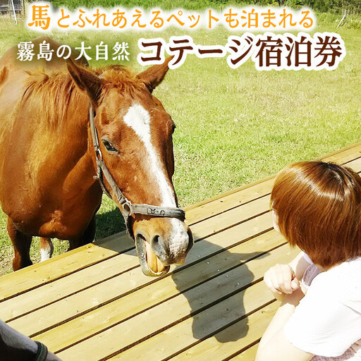 馬とふれあう&ペットと宿泊できる！ コテージPOSY　1泊2日宿泊券（1名様分）体験チケット 体験 レジャー アクティビティ ペット ふれあい 馬 宿泊 宿【霧島アート牧場】_y074