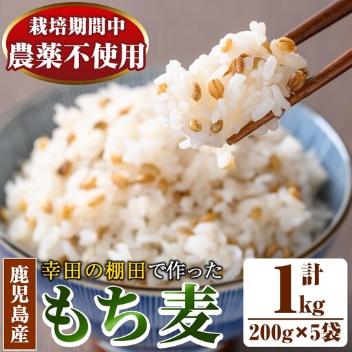 ダイシモチ もち麦 200g×5袋 [福永商店] もち麦 雑穀 _y215