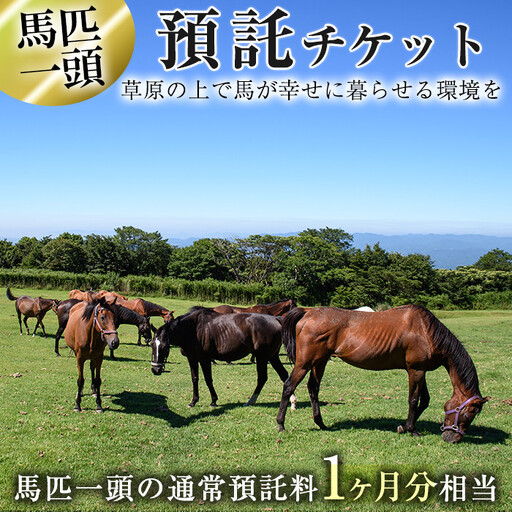 預託チケット！馬匹一頭の通常預託料1ヶ月分に相当するチケット(1枚) 馬 競走馬 競馬 乗馬 乗用馬 預託【NPO法人ホーストラスト】_y240