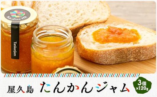 屋久島たんかんジャム３個セット | ジャム
