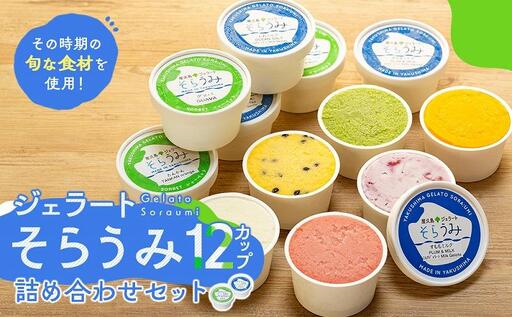 手作り ジェラート 12カップ 詰め合わせ セット＜屋久島産の新鮮食材を使用＞ | ジェラート ジェラート ジェラート ジェラート ジェラート