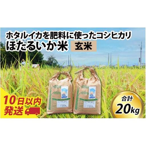 【新米】ほたるいか米（玄米20kg）【通年発送】 【訳あり 米 コシヒカリ こしひかり ほたるいか ホタルイカ お米 ブランド米 富山 滑川】