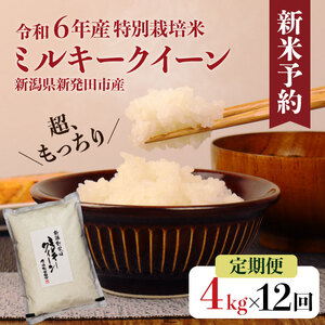 新潟県産 ミルキークイーン定期便 4kg 12ヶ月 米定期便 精米定期便 玄米定期便 ミルキークイーン定期便 特別栽培米 12回定期便 D46_001