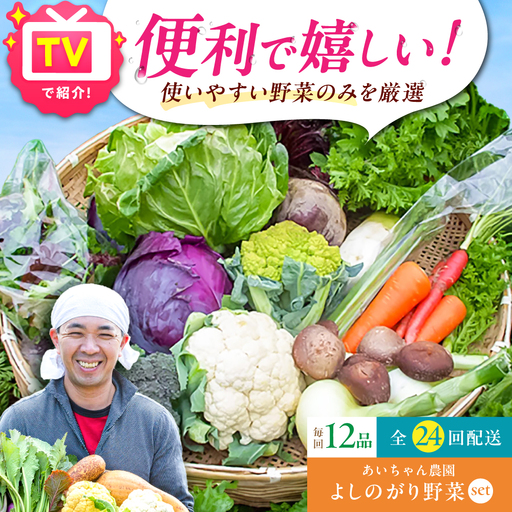 【12品 / 24回定期便】農薬に頼らない！カラダにやさしい「よしのがり野菜」セット（レギュラー）[FAA007]